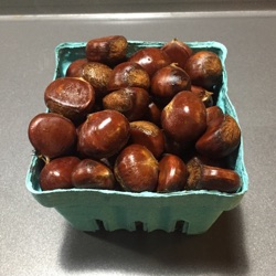 Chestnuts