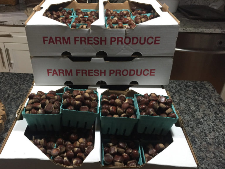 Chestnuts Castanea Farms
